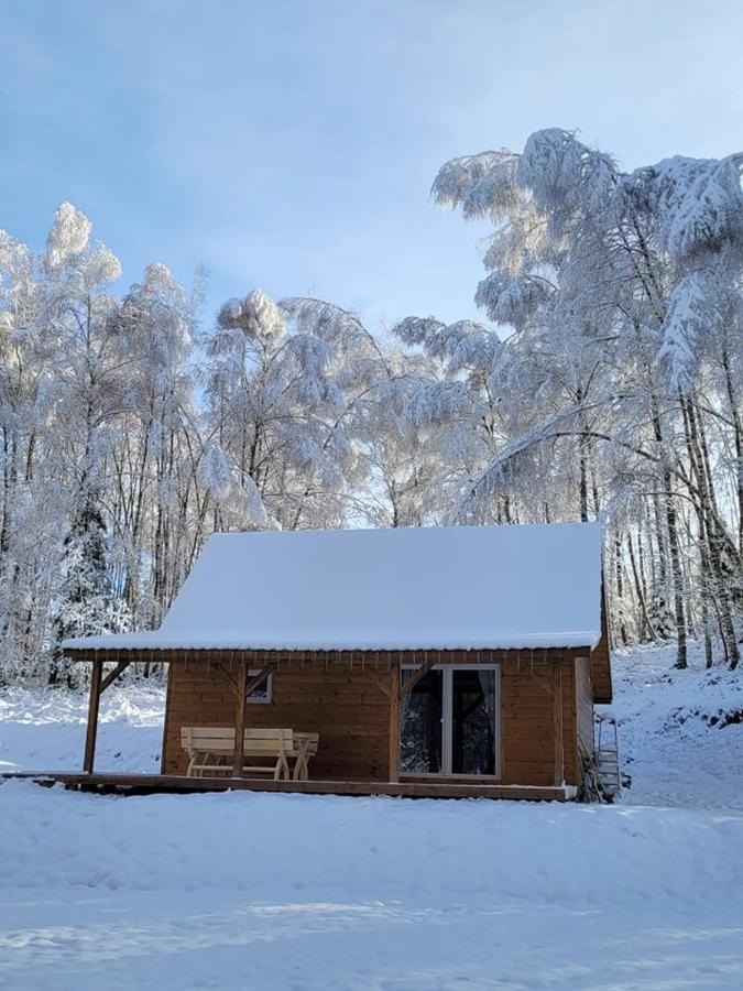 Bieszczady - Baza Usmiechow