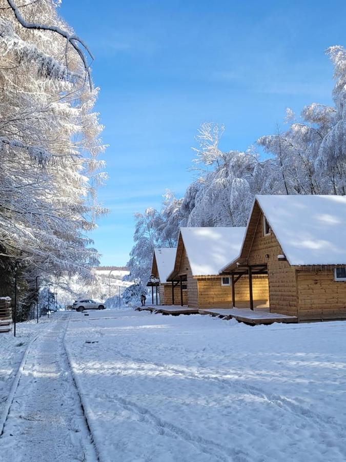 Bieszczady - Baza Usmiechow