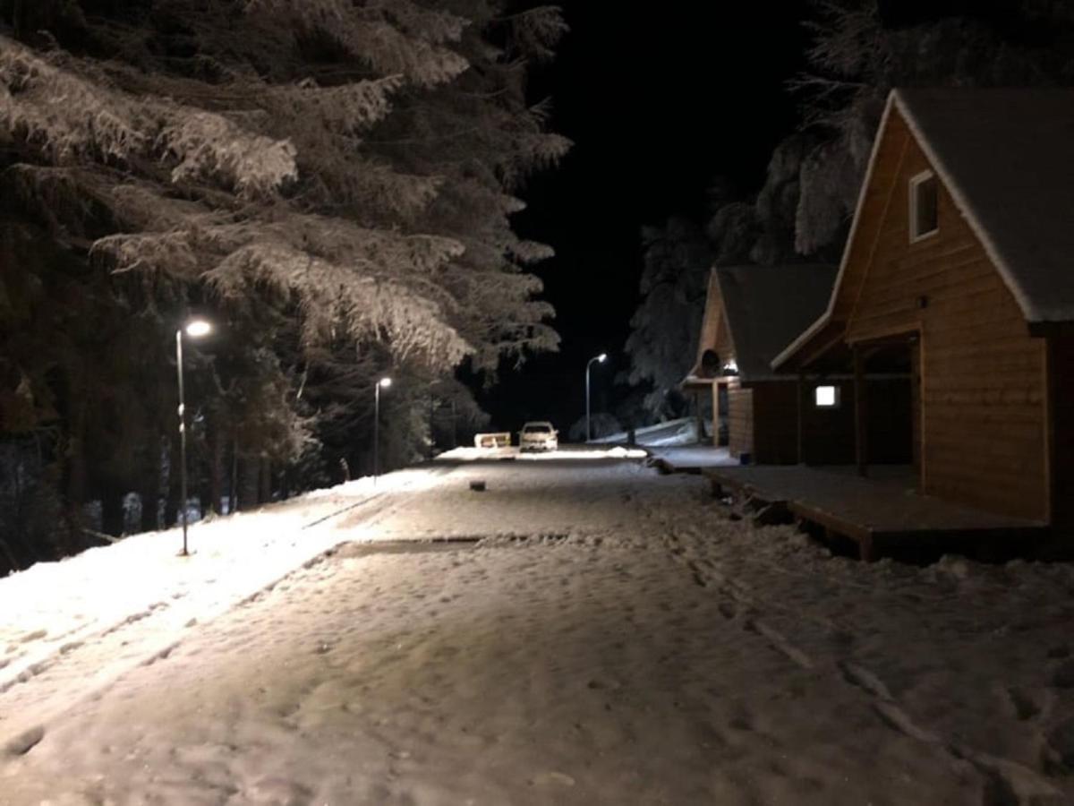 Bieszczady - Baza Usmiechow *