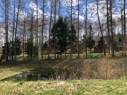 Bieszczady - Baza Usmiechow Chalet
